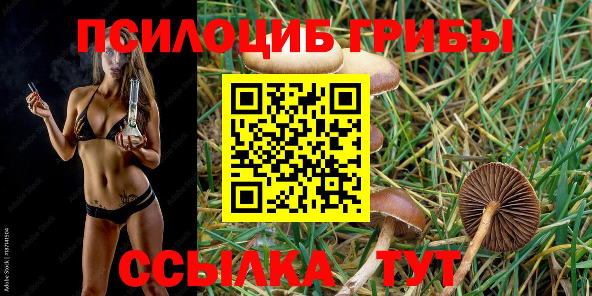 Псилоцибиновые грибы прущие грибы  Вход с VPN  Москва 